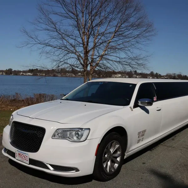 11 PAX Stretch Limo