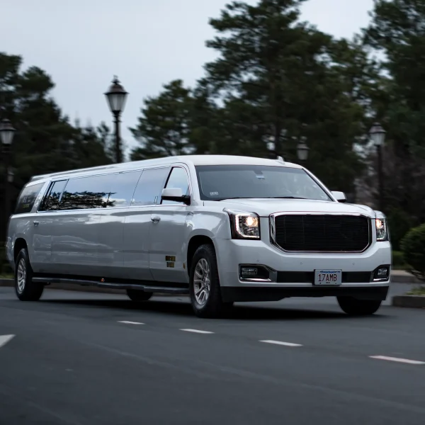 17 PAX Stretch Limo