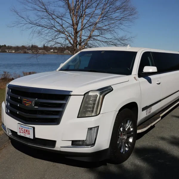 20 PAX Stretch Limo