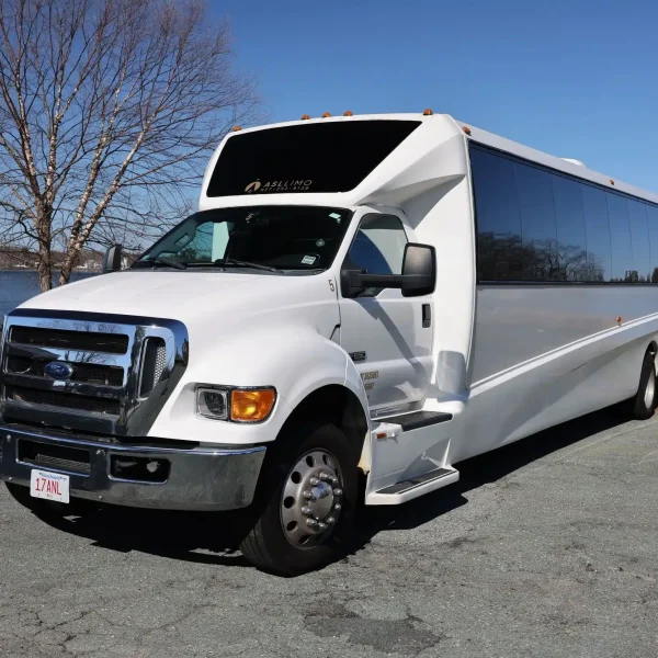 38 PAX Party Bus
